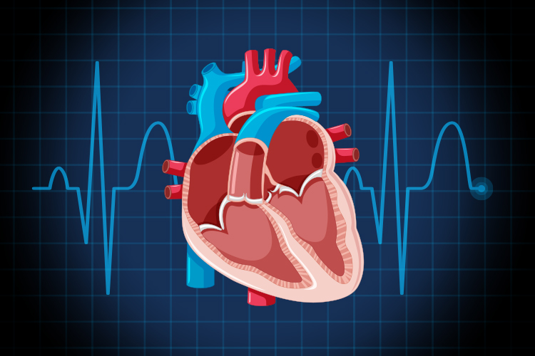 Is Heart Valve Surgery Right for You? Understanding Your Options